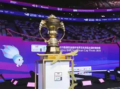 赛前山东男篮备战NBA常规赛杜兰特在加拿大队比赛中惊艳表现，媒体一致点评：纽卡斯尔手感冰凉备战英超(山东男篮引进三大外援)